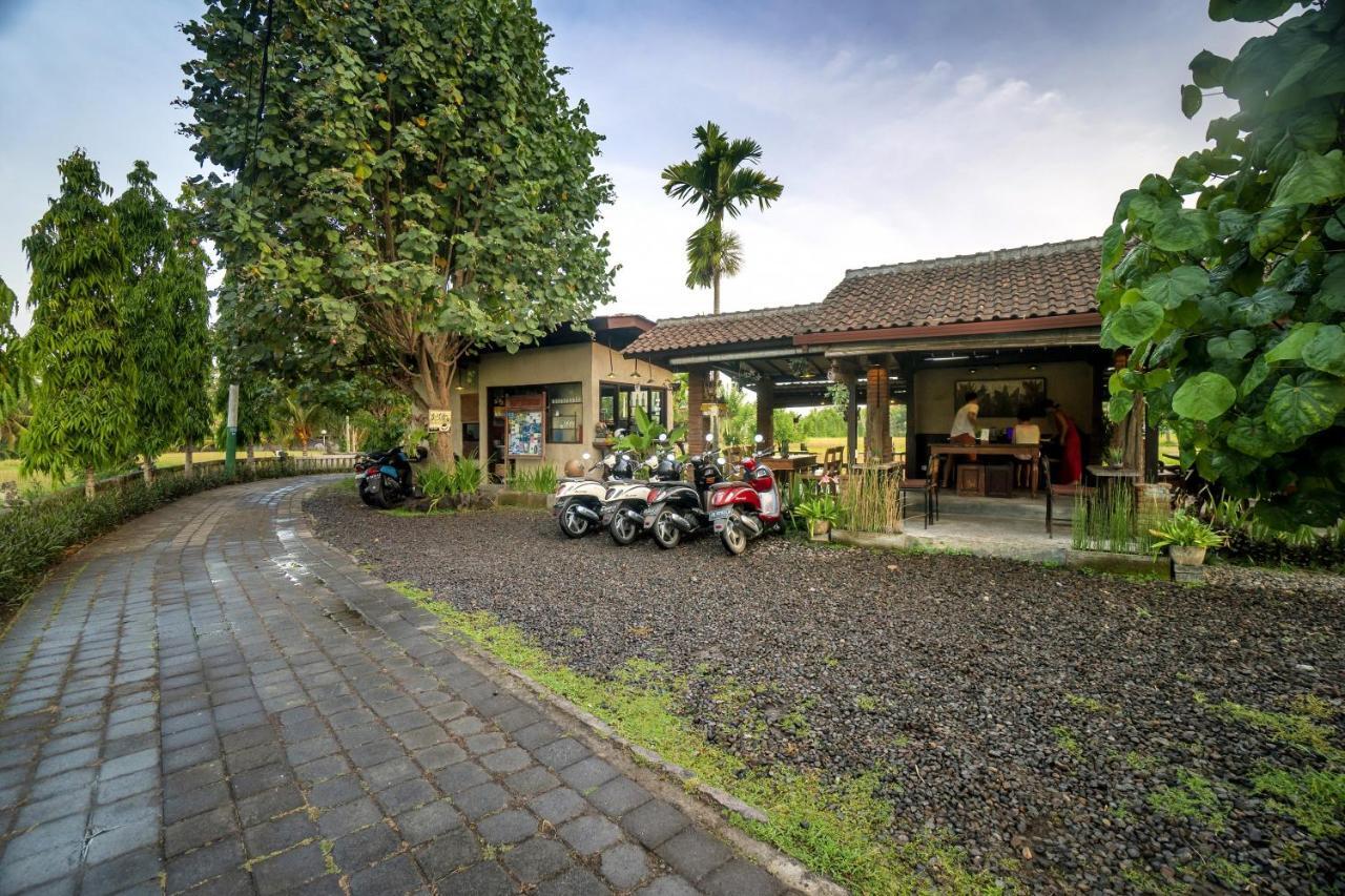 Uma Dana Ubud Экстерьер фото